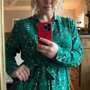 Green cheetah print Anthropologie shift dress